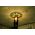 Thế giới đèn gỗ - Đèn gỗ trang trí hình xoắn ốc 4