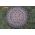 Thế Giới Đèn Gỗ - Đèn gỗ trang trí Mandala hoa sen 2