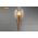 Thế giới đèn gỗ - Đèn gỗ trang trí treo tường DGW039 - 1