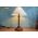 Thế Giới Đèn Gỗ - Đèn gỗ trang trí để bàn DGB039 - 2