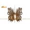 Thế Giới Đèn Gỗ - Đèn gỗ trang trí hình con bướm